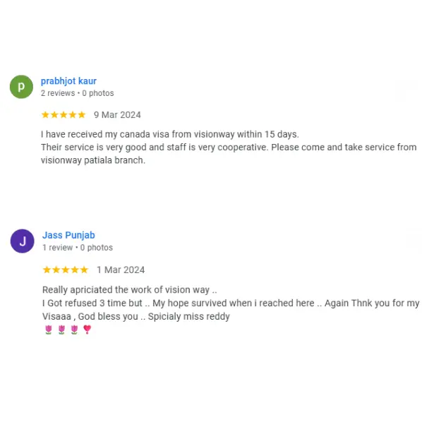 Google Review Testimonial