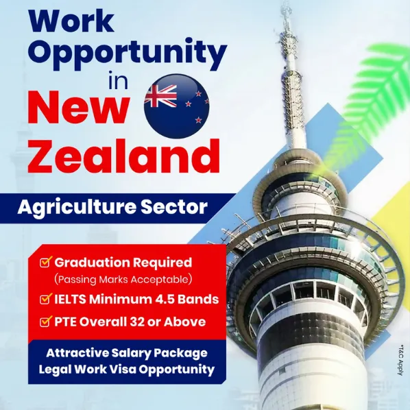 Indian students studying in New Zealand